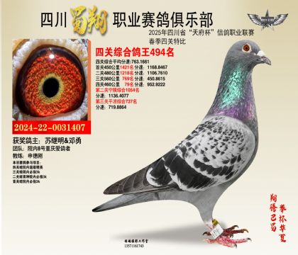 四川蜀翔四關(guān)鴿王494名
