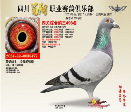 四川蜀翔四關(guān)鴿王498名