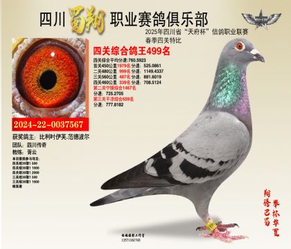 四川蜀翔四關鴿王499名