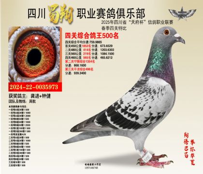 四川蜀翔四關(guān)鴿王500名