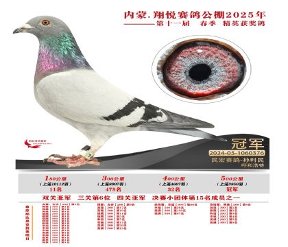 內(nèi)蒙古翔悅決賽冠軍