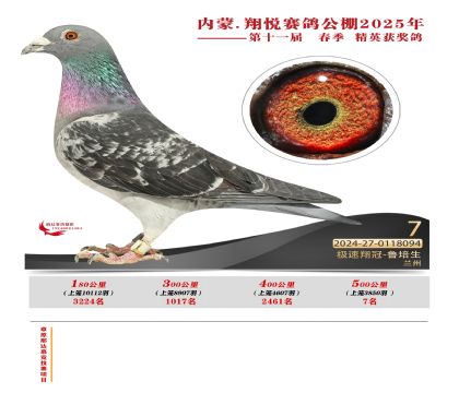 內(nèi)蒙古翔悅決賽7名
