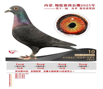 內(nèi)蒙古翔悅決賽10名