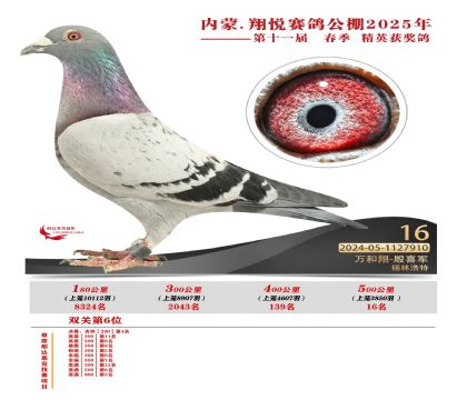 內(nèi)蒙古翔悅決賽16名