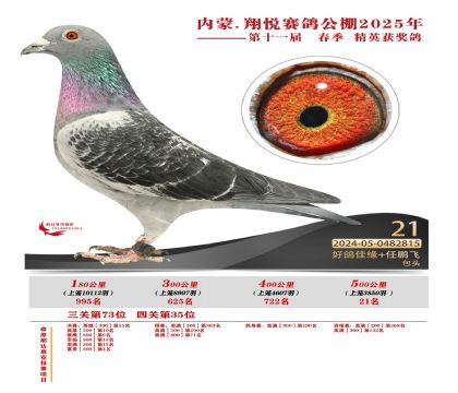 內(nèi)蒙古翔悅決賽21名