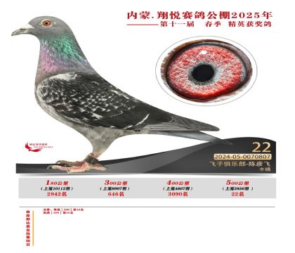 內(nèi)蒙古翔悅決賽22名