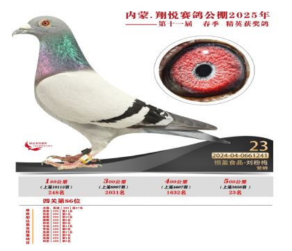 內(nèi)蒙古翔悅決賽23名