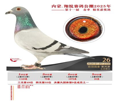 內(nèi)蒙古翔悅決賽26名