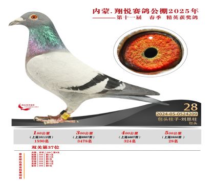 內(nèi)蒙古翔悅決賽28名