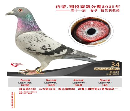 內(nèi)蒙古翔悅決賽34名