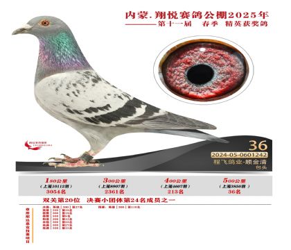 內(nèi)蒙古翔悅決賽36名