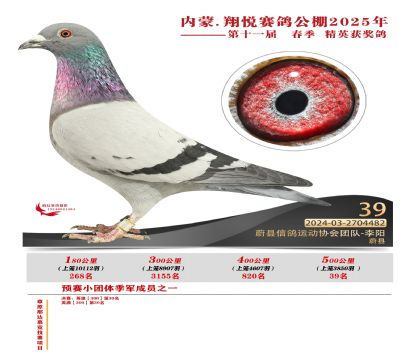 內(nèi)蒙古翔悅決賽39名