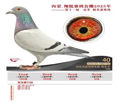 內(nèi)蒙古翔悅決賽40名