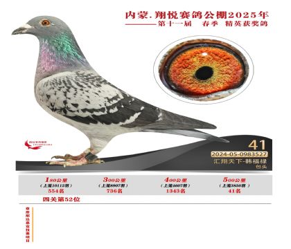 內(nèi)蒙古翔悅決賽41名