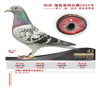 內(nèi)蒙古翔悅決賽42名