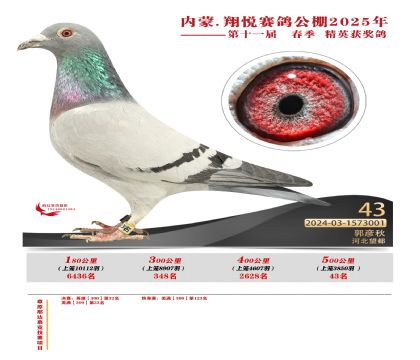內(nèi)蒙古翔悅決賽43名