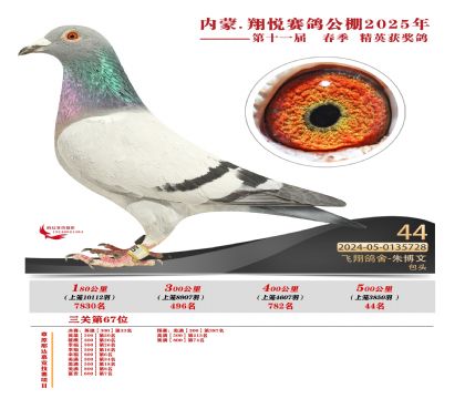 內(nèi)蒙古翔悅決賽44名