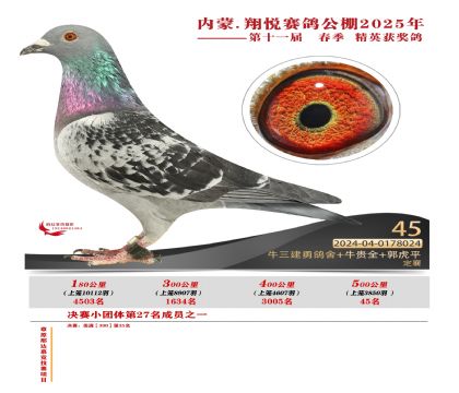 內(nèi)蒙古翔悅決賽45名
