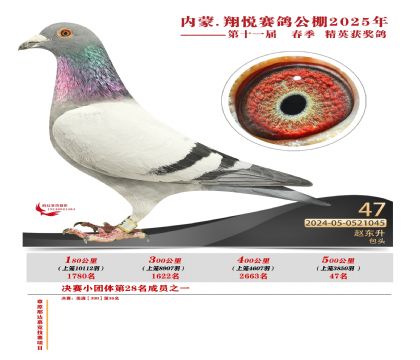 內(nèi)蒙古翔悅決賽47名