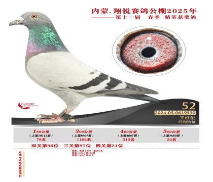 內(nèi)蒙古翔悅決賽52名