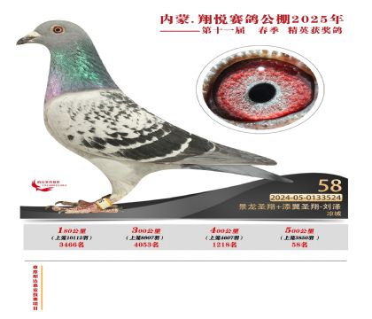 內(nèi)蒙古翔悅決賽58名