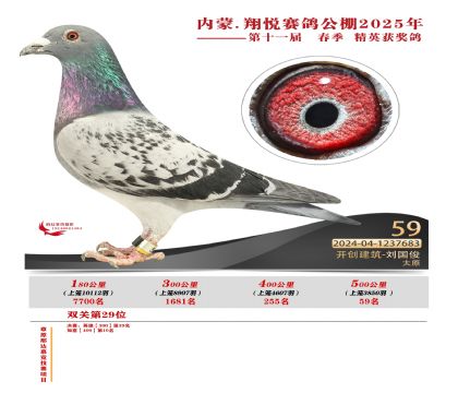 內(nèi)蒙古翔悅決賽59名