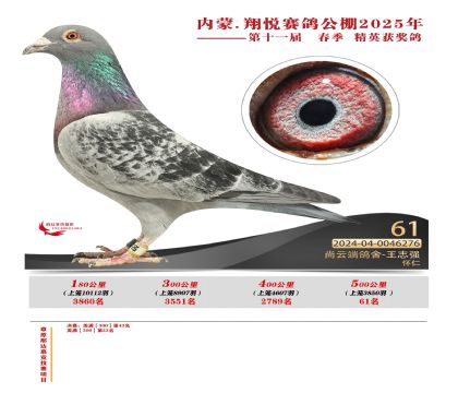 內(nèi)蒙古翔悅決賽61名