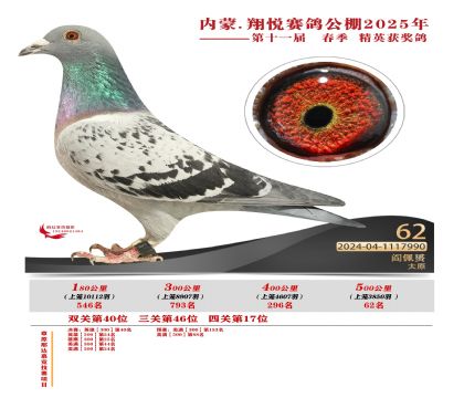 內(nèi)蒙古翔悅決賽62名
