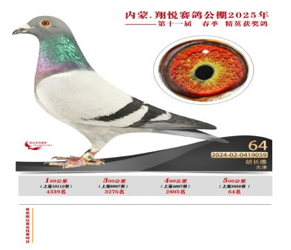 內(nèi)蒙古翔悅決賽64名
