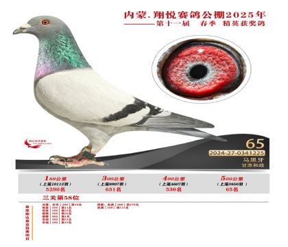 內(nèi)蒙古翔悅決賽65名