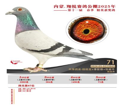 內(nèi)蒙古翔悅決賽71名