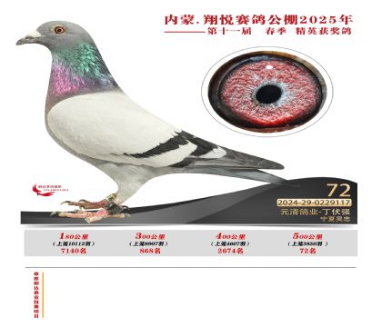 內(nèi)蒙古翔悅決賽72名