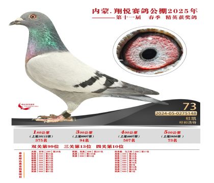 內(nèi)蒙古翔悅決賽73名