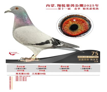 內(nèi)蒙古翔悅決賽75名