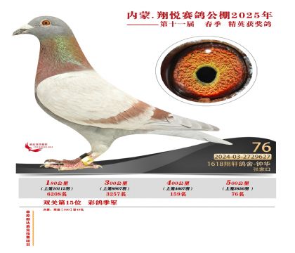 內(nèi)蒙古翔悅決賽76名