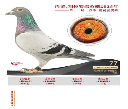 內(nèi)蒙古翔悅決賽77名