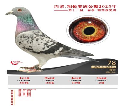 內(nèi)蒙古翔悅決賽78名