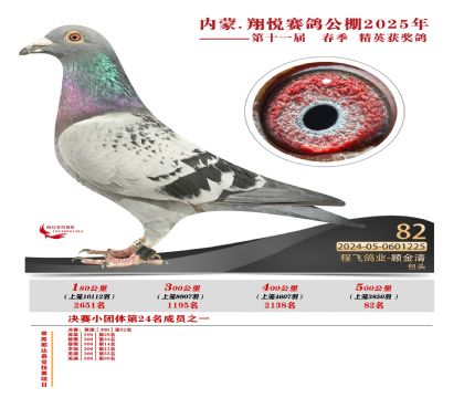 內(nèi)蒙古翔悅決賽82名