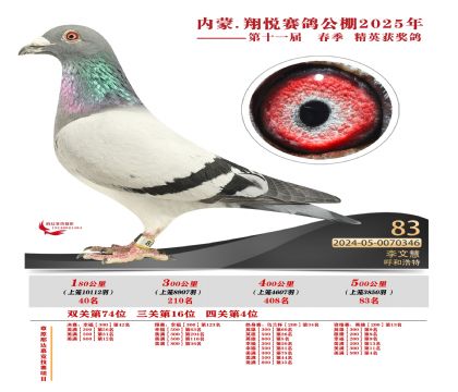 內(nèi)蒙古翔悅決賽83名