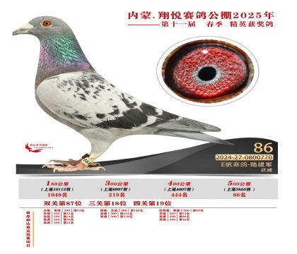 內(nèi)蒙古翔悅決賽86名