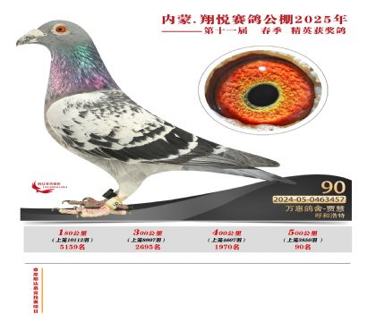 內(nèi)蒙古翔悅決賽90名