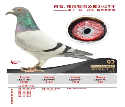 內(nèi)蒙古翔悅決賽92名