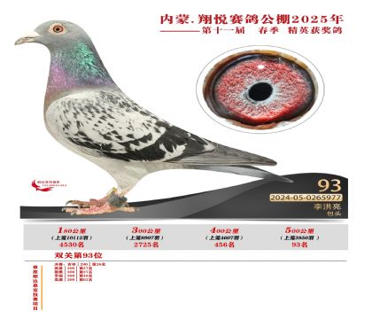 內(nèi)蒙古翔悅決賽93名