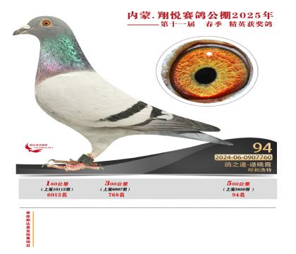 內(nèi)蒙古翔悅決賽94名