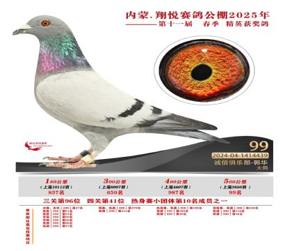 內(nèi)蒙古翔悅決賽99名
