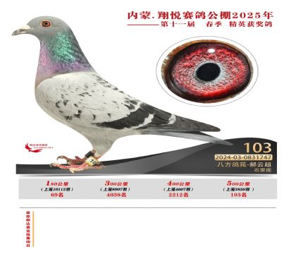 內(nèi)蒙古翔悅決賽103名