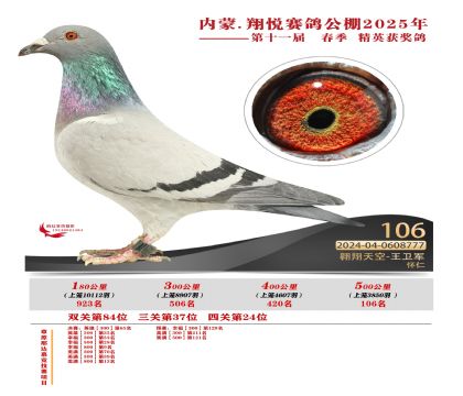 內(nèi)蒙古翔悅決賽106名