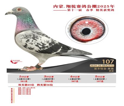 內(nèi)蒙古翔悅決賽107名