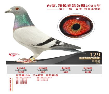 內(nèi)蒙古翔悅決賽129名