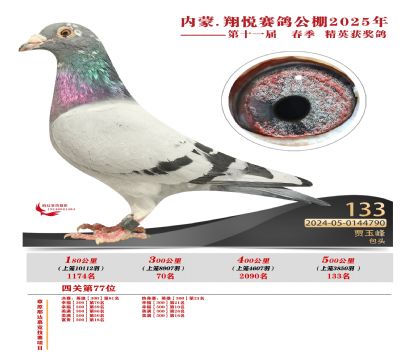 內(nèi)蒙古翔悅決賽133名